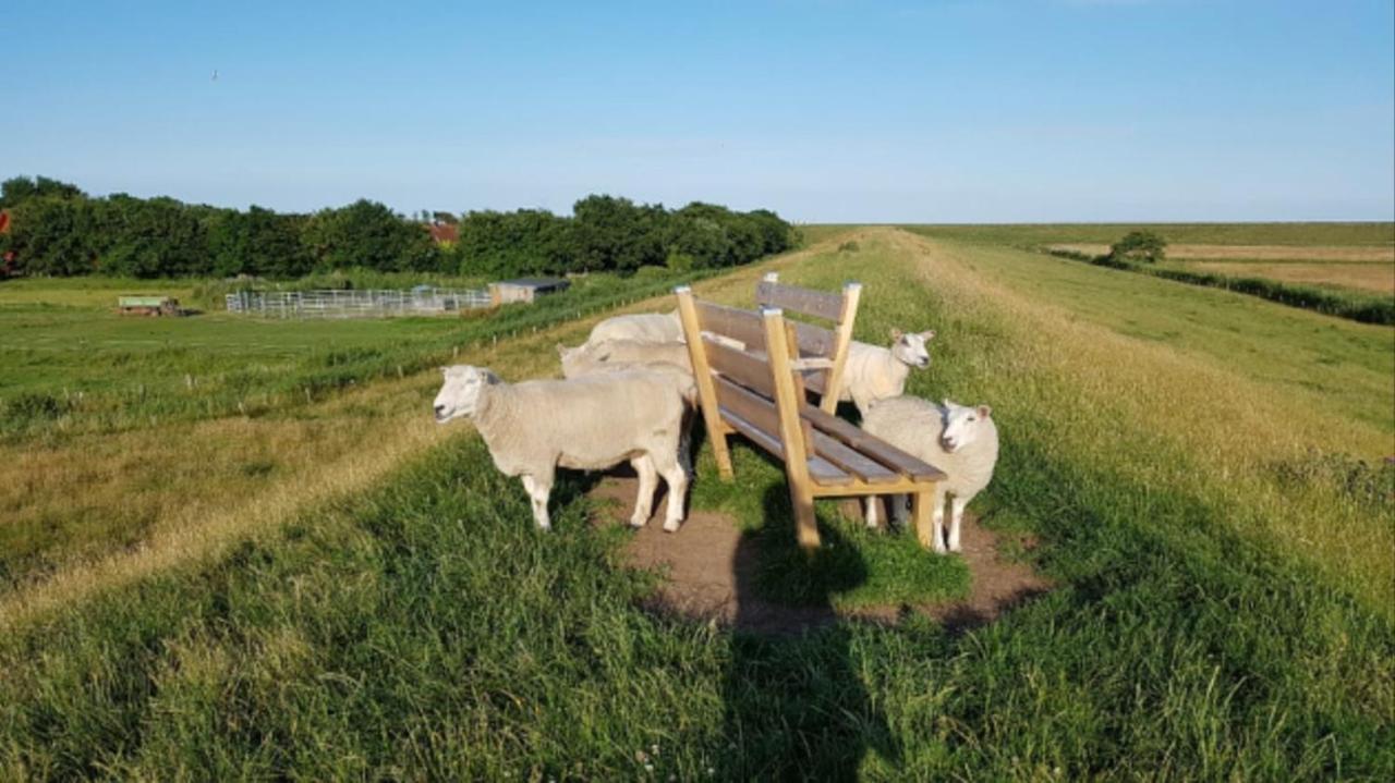 Deichgraf - Hedwig Meine Perle Hedwigenkoog Buitenkant foto